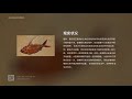 主观解读《死亡搁浅》剧情— 一曲献给生命的赞歌【gadio pro】丨机核