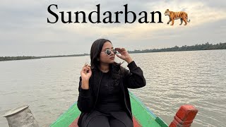 Sundarban 🐅| 2 Nights 3 Days Sundarban Tour Package | SundarbanTour Plan 2024