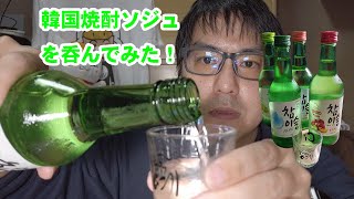 【韓国焼酎】韓国ドラマに憧れて韓国焼酎ソジュを呑んでみた！[愛の不時着/梨泰院クラス/サンガプ屋台]