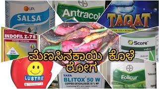 Die back, fruit rot \u0026 Anthracnose of Chillies|ಮೆಣಸಿನಕಾಯಿಕೊಳೆ ರೋಗ | Symptoms and control measures|