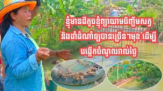 ខ្ញុំមានដីតូចខ្ញុំព្យាយាមចិញ្ចឹមសត្វ និងដាំដំណាំឲ្យបានច្រើនៗមុខដើម្បីបង្កើតចំណូលរាល់ថ្ងៃ