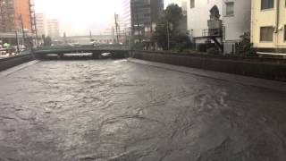 （2014.10）台風18号で増水した、帷子川（横浜駅）