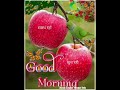 Good morning WhatsApp status||Good Morning Status with song||Good Morning Status Video wishes||🌹🌹||