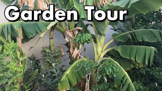 One Arizona Garden | Garden Tour  6.7.2017