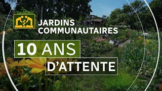 Miser davantage sur le « jardinage collectif »