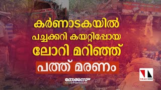 പച്ചക്കറി കയറ്റിപ്പോയ ലോറി മറിഞ്ഞ് പത്ത് മരണം|THEJAS NEWS