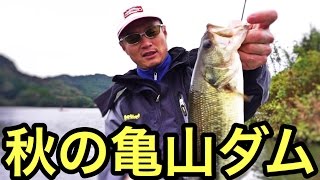 ［亀山ダムでバス釣り］難しい秋をスモラバで攻略・前編［ターンオーバーに負けるな！］