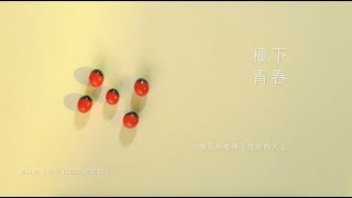 台青蕉 Youthbanana - 種下青春全曲試聽 Cultivate Youth Album Preview