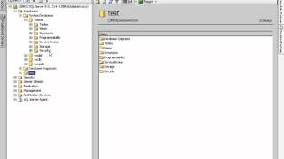 "Object Explorer Lesson 3.3"