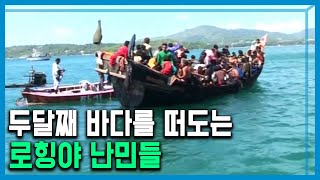 코로나19로 바다에 표류하는 로힝야 난민 (169회_2020.05.09.방송)