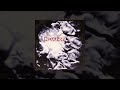 Eitan Reiter - X-Vision Feat. Echo