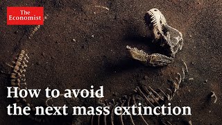 Mass extinction: what can stop it?