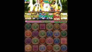 パズドラ「聖獣達の楽園　星帝の黄龍」　麒麟PTノーコン