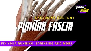 Fix Your Running, Sprinting, and Move Better - Plantar Fasciitis Treatment