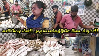 Kasimedu Fish in Arumbakkam||Kasimedu fresh fish Arumbakkathil kidaikkuthu!!eppavum fresh fish tha..