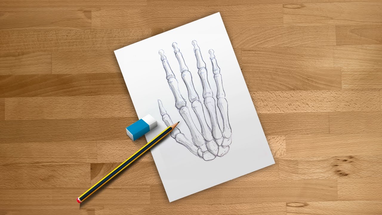 Skeleton Hand Drawing In 5 Steps Video Illustrations