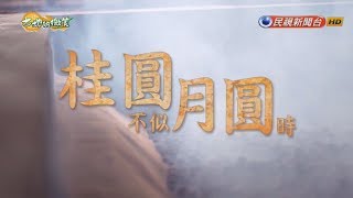 《土地的微笑》EP16─桂圓不似月圓時