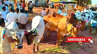 కంకోల్ అంగడి (సంత) తెలంగాణ 🐂 kamkole market telangana 🕊️ bulls for sale