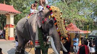 Thechikkottukavu Ramachandran taking thidambu for Veeratapasya @ Valapad meena bharani