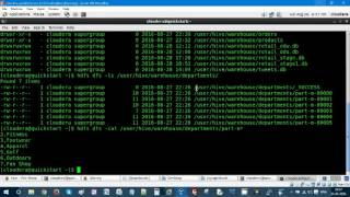 Data Analytics - Load data into PIG Relation with Schema