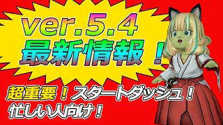 ドラクエ10【5.4最新情報！】超重要厳選！アプデ当日にver5.4をスタートダッシュ！【ドラクエ10】