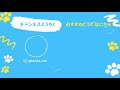 【ビーグル🐶セブ】クイックルワイパーと戦う子犬🧹