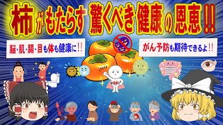 柿の驚くべき健康効果を解説‼美肌効果・認知症予防・心血管疾患予防・がん予防も期待できる‼【ゆっくり解説】