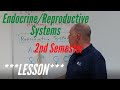 Endocrine and Reproductive Systems:  Lesson for A&P Lab, 2nd Semester.  Anatomy and Histology