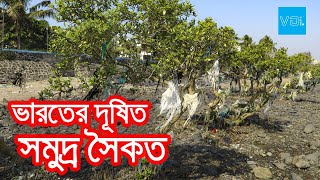 ভয়াবহ পরিবেশ দূষণ ভারতের এই সমুদ্র সৈকতে | extreme environment pollution in this beach of India