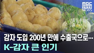 감자 도입 200년 만에 수출국으로... K-감자 큰 인기 20240619