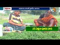 ఆకుకూరల సాగుతో అధిక ఆదాయం cultivation of leafy vegetables matti manishi 10tv