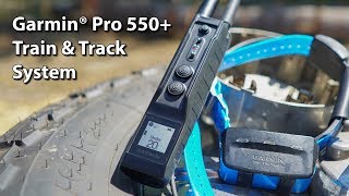 Garmin Pro550 Plus GPS Dog tracking and Training