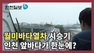 [인천일보 PICK]월미바다열차 시승기…인천 앞바다가 한눈에?