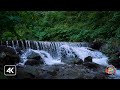 🔴Music and Waterfall Sounds | Stress free Ambiencee | Sleep Music, Peaceful Music, Meditation Music