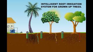 Root Irrigation from JTIP