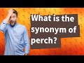 What is the synonym of perch?