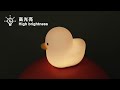 wendadeco best manufacturer led dull duck night light