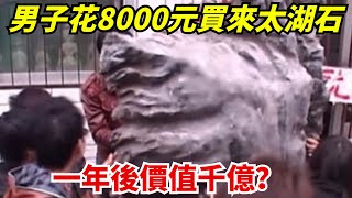 2017年，男子花8000元買來太湖石，一年後價值千億？專家揭開奧秘【藏古談奇】#銀元#鑒寶#古玩#鐵鐲