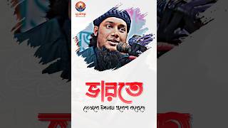 যেভাবে ইসলাম প্রবেশ করেছে ভারতে  | Abu Toha Mohammad Adnan | আবু ত্বহা মুহাম্মাদ আদনান 🌤️