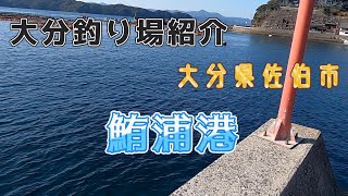 ここって穴場！？鮪浦港　大分県佐伯市