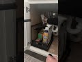 i cleaned and organized underneath my kitchen sink howto cleaning organization tidyhouse