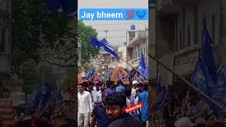 ravidasi hai hum bete 💙💯 bhimarmy 👿 jatav ji 👿💯💙💙 bhimarmy 💪💪 #jaibhim #bhimarmy #jatav #ravidas