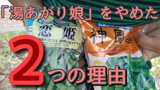 【枝豆品種】湯あがり娘にこだわらない。