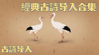 經典中國古詩导入合集(一) 💗Chinese Classical Poetry｜古詩导入 | 兒童古诗大全 | 國學啟蒙 | 中國古詩 | 花花動畫 | Hua-Animation