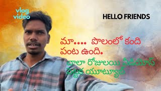 మా పొలంలో కంది పంట ఉంది.   ఫ్రెండ్ hello friends, my village aquaculture video 4k video ￼￼