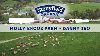 Molly Brook Farm - Danny Seo