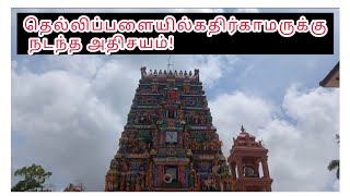 பல மர்மங்கள் தெல்லிப்பளை துர்க்கை அம்மன் ஆலய புராதன வரலாறு Jaffna Jaffna | தெல்லிப்பளை| AHSAI-VLOGS