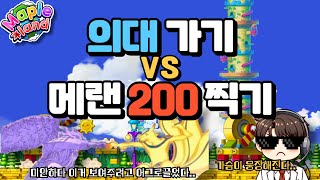 의사가 말하는 의대가기 vs 메랜 200찍기 | 메이플랜드