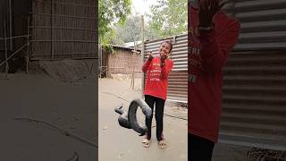 Mansi ke pass Saap 🐍 hai #shorts #viralvideo #youtubeshorts