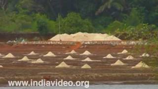 Salt making Uttara Kannada Karnataka India